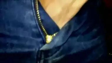 Wild cock hunting over denims